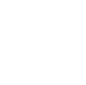INCIBE, Empresa Registrada