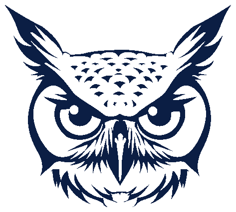 Watchful owl of 24-hour IT support